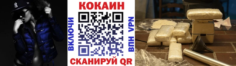 КОКАИН Fish Scale  Купить  Сольвычегодск 