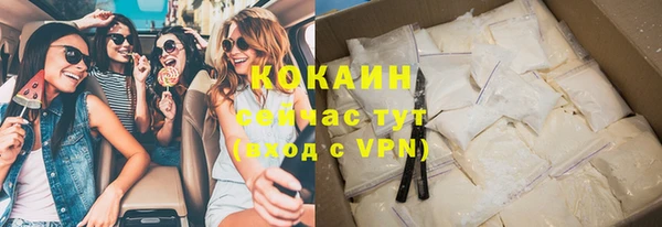 шишки Алзамай
