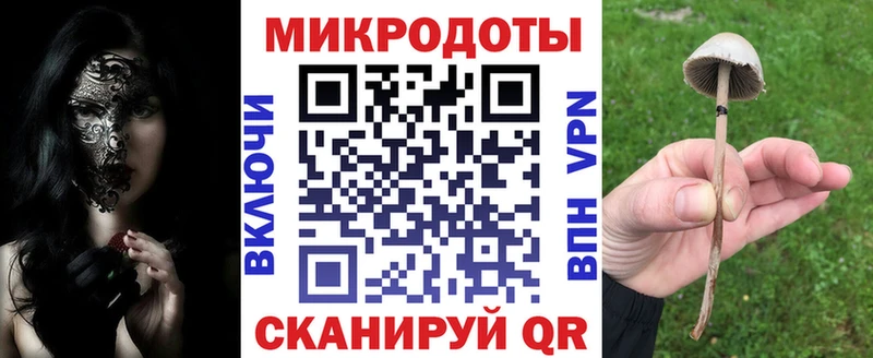 Псилоцибиновые грибы Cubensis Купить где Сольвычегодск
